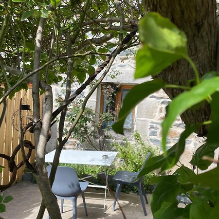 Bed and Breakfast Chez Fabrice Le Pertuis Екстер'єр фото