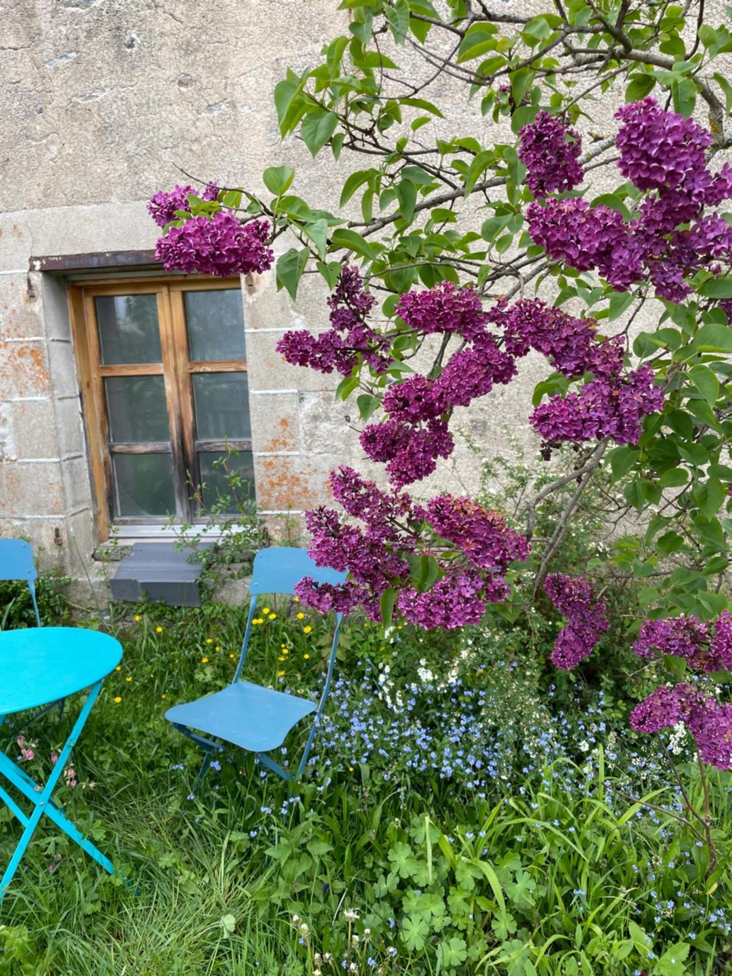 Bed and Breakfast Chez Fabrice Le Pertuis Екстер'єр фото